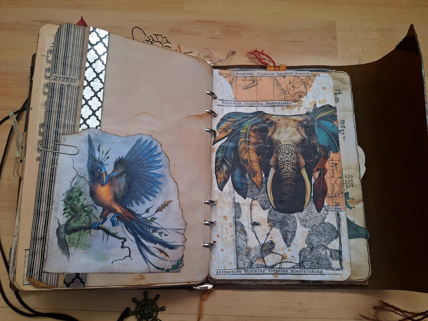 A little bit of everything